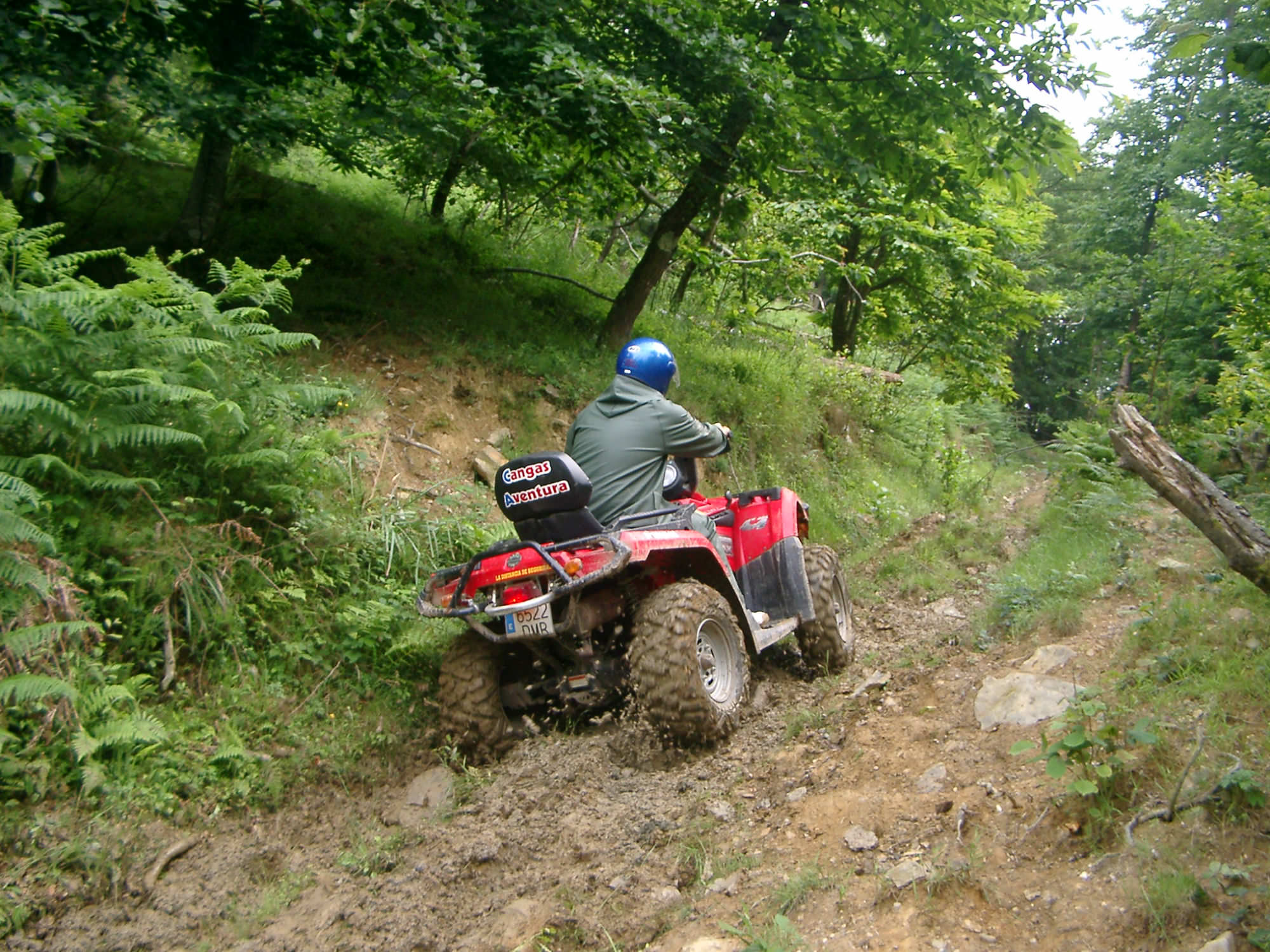 descenso del sella