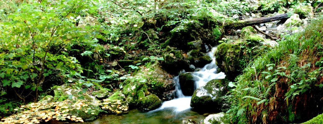 Excursiones en el parque natural de Ponga